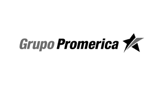 Club Promerica logo